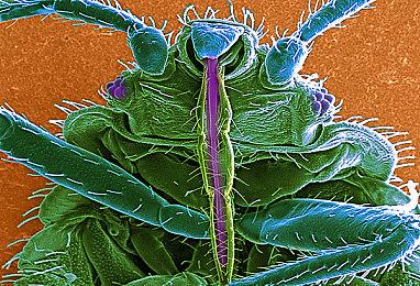 育碧《全境封锁：中心地带》并没有被取消 但经历了重大变化